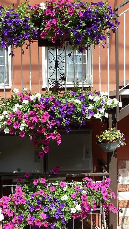 Hotel Baitone - Nature Village Malcesine